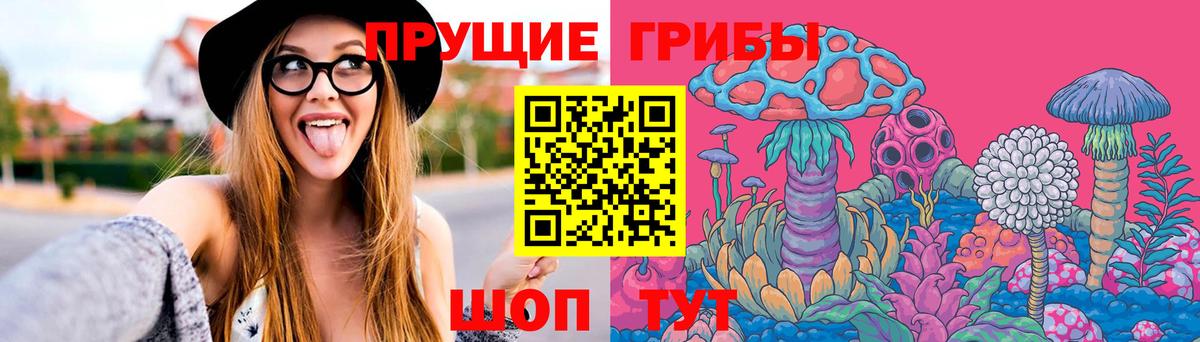 Галлюциногенные грибы GOLDEN TEACHER  купить   Галлюциногенные грибы Cubensis  Вязники  Вход с VPN 